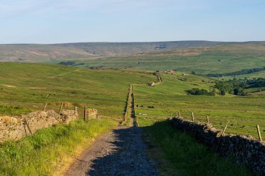 Rookhope ve Ireshopeburn, County Durham, İngiltere arasındaki Peak District kırsalında bir yol.