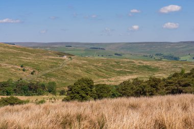 Daddry Shield ve Newbiggin, County Durham, İngiltere arasındaki bölge manzarası