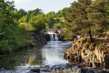 Bowlees, County Durham, İngiltere yakınlarındaki Düşük Güç Şelalesi.