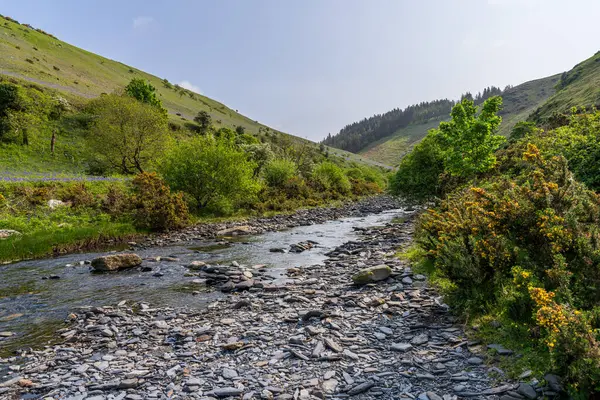 Sulby ve Snaefell arasındaki Sulby Nehri manzarası, Ayre, Man Adası