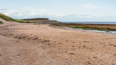 Thorntonloch, İskoçya, İngiltere 'deki sahil ve Kuzey Denizi kıyısı.