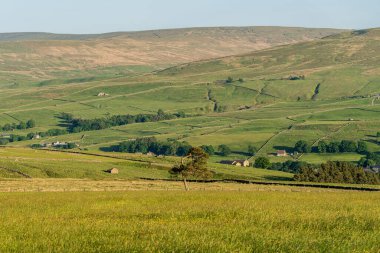Rookhope ve Ireshopeburn arasındaki Peak District Manzarası, Durham İlçesi, İngiltere, İngiltere