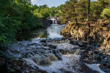 Bowlees, County Durham, İngiltere yakınlarındaki Düşük Güç Şelalesi.