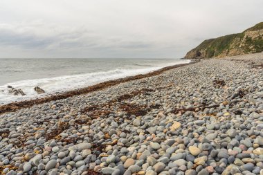 İrlanda Deniz Kıyısı, Port Castle Bay, Dumfries ve Galloway, İskoçya, İngiltere