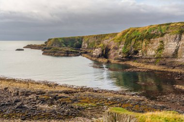 Crawton, Aberdeenshire, İskoçya, İngiltere 'deki kayalıklar ve Kuzey Denizi kıyıları