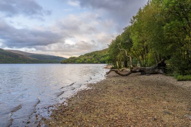 Firkin Point, Argyll ve Bute, İskoçya, İngiltere 'den Lomond Gölü manzarası