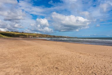 Lunan Körfezi 'ndeki sahil ve uçurumlar, Angus, İskoçya, İngiltere