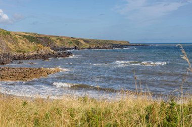 Kuzey Denizi kıyısı ve Boddin yakınlarındaki uçurumlar, Angus, İskoçya, İngiltere