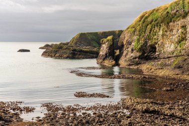 Crawton, Aberdeenshire, İskoçya, İngiltere 'deki kayalıklar ve Kuzey Denizi kıyıları