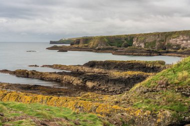 Crawton, Aberdeenshire, İskoçya, İngiltere 'deki kayalıklar ve Kuzey Denizi kıyıları