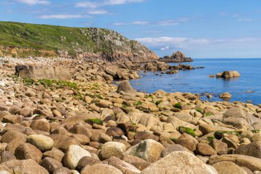 Kelt Deniz Kıyısı ve St Loy Koyu 'ndaki uçurumlar, Cornwall, İngiltere, İngiltere