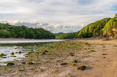 Wonwell Sahili ve Erme Nehri 'nin akıntısı Mothecombe, Devon, İngiltere, İngiltere yakınlarında arka planda eski bir kireç fırını var.