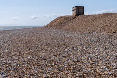 Çakıl taşı plajı ve kuş gizlenir Dungeness, Kent, İngiltere, İngiltere 'de