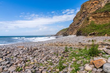 Millook Haven, Cornwall, İngiltere 'deki kayalıklar ve plaj.