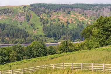 Thirlmere, Cumbria, İngiltere yakınlarındaki Lake District 'te manzara