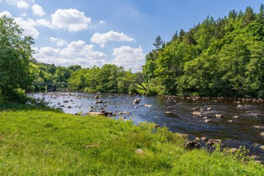 Bowlees, County Durham, İngiltere yakınlarındaki Pennine Yolu ve Low Force ve High Force arasındaki Tees Nehri.