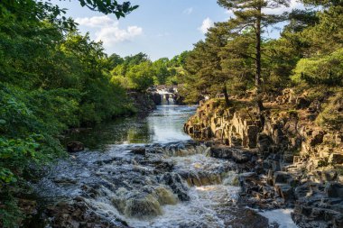 Bowlees, County Durham, İngiltere yakınlarındaki Düşük Güç Şelalesi.