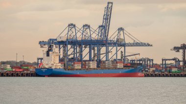 Shotley Kapısı, Suffolk, İngiltere - 22 Kasım 2022: Orwell Nehri üzerinden Felixstowe Limanı 'ndaki bir kargo gemisine bakın