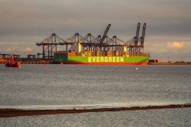 Shotley Kapısı, Suffolk, İngiltere - 22 Kasım 2022: Orwell Nehri üzerinden Felixstowe Limanı 'ndaki bir kargo gemisine bakın