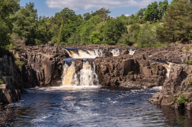 Bowlees, County Durham, İngiltere yakınlarındaki Düşük Güç Şelalesi.