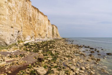Undercliff yürüyüşü, Peacehaven, Doğu Sussex, İngiltere 'de bir patika.
