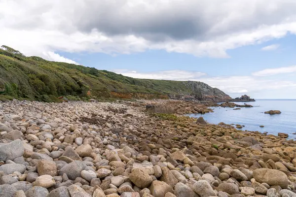 Kelt Deniz Kıyısı ve St Loy Koyu 'ndaki uçurumlar, Cornwall, İngiltere, İngiltere