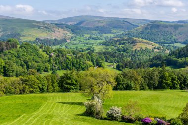 Denbighshire, Clwyd, Wales, İngiltere 'deki Berwyn yakınlarındaki manzara.
