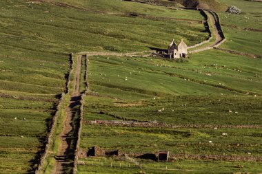 Rookhope ve Ireshopeburn arasında Peak District 'te terk edilmiş taştan bir ev olan kırsal bir yol, Durham County, İngiltere, İngiltere