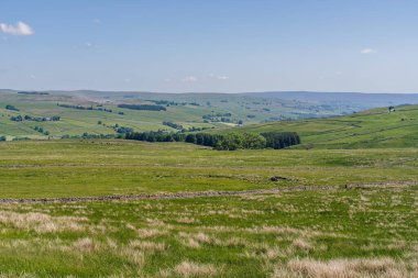 Daddry Shield ve Newbiggin, County Durham, İngiltere arasındaki bölge manzarası