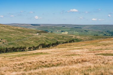 Daddry Shield ve Newbiggin, County Durham, İngiltere arasındaki bölge manzarası