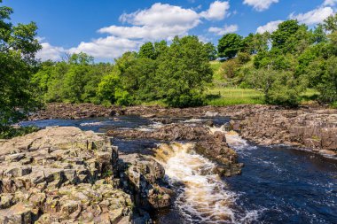 Bowlees, County Durham, İngiltere yakınlarındaki Düşük Güç Şelalesi.