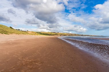 Lunan Körfezi 'ndeki sahil ve uçurumlar, Angus, İskoçya, İngiltere