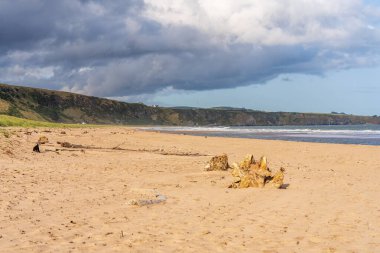 Sahil ve Kuzey Denizi kıyısı St Cyrus Ulusal Doğa Rezervi, Aberdeenshire, İskoçya, İngiltere