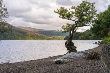 Firkin Point, Argyll ve Bute, İskoçya, İngiltere 'den Lomond Gölü manzarası