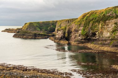 Crawton, Aberdeenshire, İskoçya, İngiltere 'deki kayalıklar ve Kuzey Denizi kıyıları