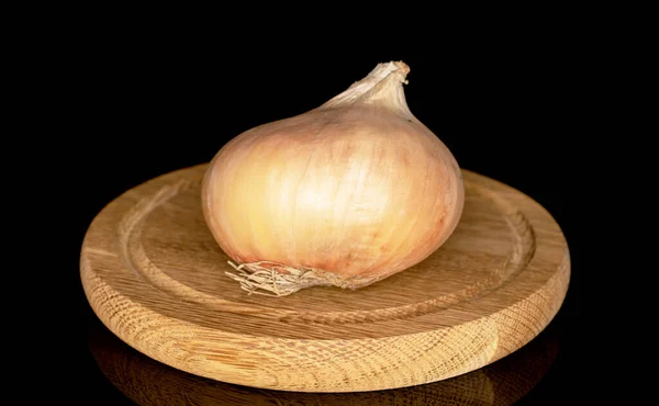 One Organic Juicy Unpeeled Onion Wooden Plate Close Black Background — Stock Photo, Image