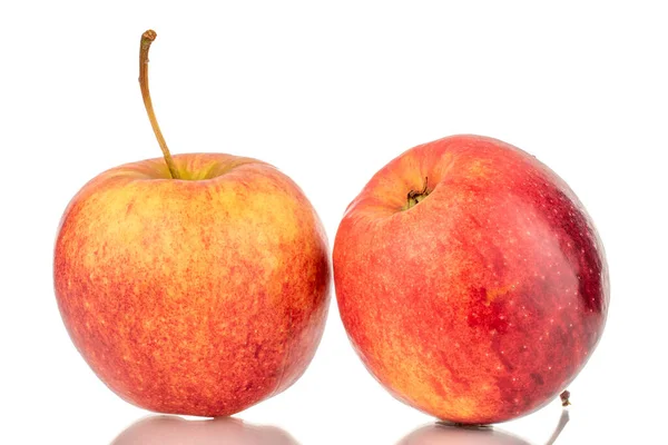 Deux Pommes Rouges Mûres Macro Isolées Sur Fond Blanc — Photo
