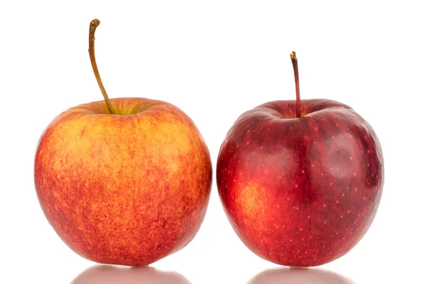 Zwei Rote Reife Äpfel Makro Isoliert Auf Weißem Hintergrund — Stockfoto
