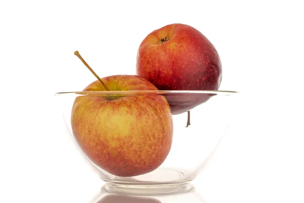 Dos Manzanas Rojas Maduras Una Placa Vidrio Macro Aisladas Sobre — Foto de Stock