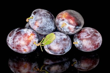 Birkaç olgun organik erik, yakın plan, siyah arka planda izole edilmiş..