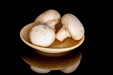 Üç organik taze iştah açıcı şampiyon mantarı seramik bir fincan tabağında, yakın plan, siyah arka planda..