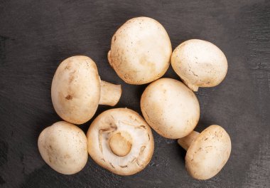 Birkaç organik taze ağız sulandıran porcini mantarı..