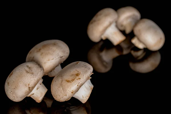 Several Organic Fresh Appetizing Champignon Mushrooms Black Background — Stock Photo, Image