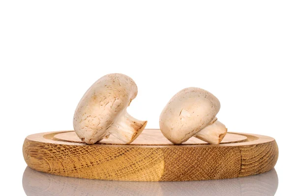 白い背景に竹の丸いトレイに2つの有機新鮮な食欲をそそるシャンパンキノコ クローズアップ — ストック写真