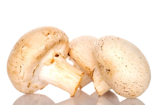 Three Organic Fresh Appetizing Champignon Mushrooms White Background Royalty Free Stock Images