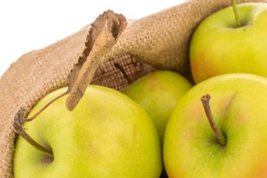 Birkaç yeşil elma, jüt çuvalı, makro beyaz arka planda izole edilmiş..