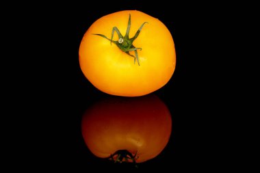 Bir tane sulu organik sarı domates, yakın plan, siyah arkaplanda..