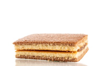 One mini cocoa biscuit, macro, isolated on white background.