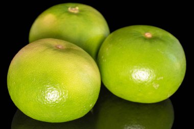 Three ripe organic Citrus Sweetie, close-up, isolated on black background.