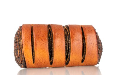 One appetizing roll with poppy seeds, macro, isolated on white background.